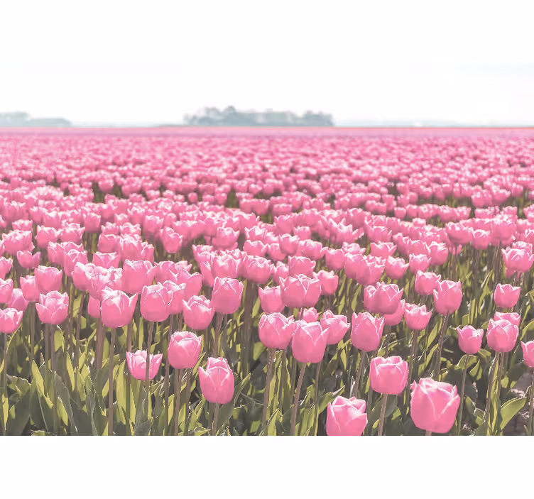 Papel mural de amapolas campos de tulipanes rosas - TenVinilo