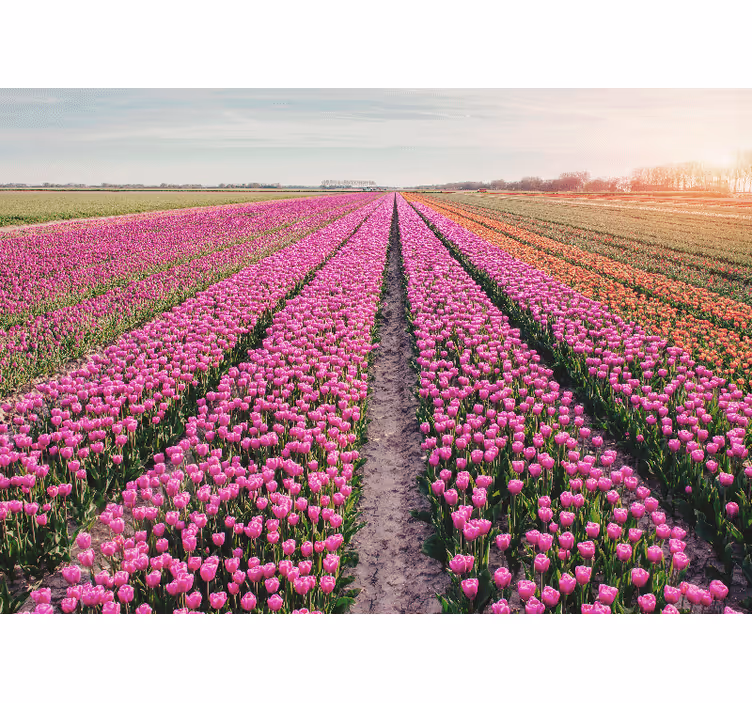 Papel mural flores paisaje de pradera de tulipanes - TenVinilo