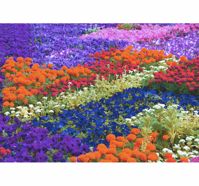 Papel mural flores campo colorido - TenVinilo