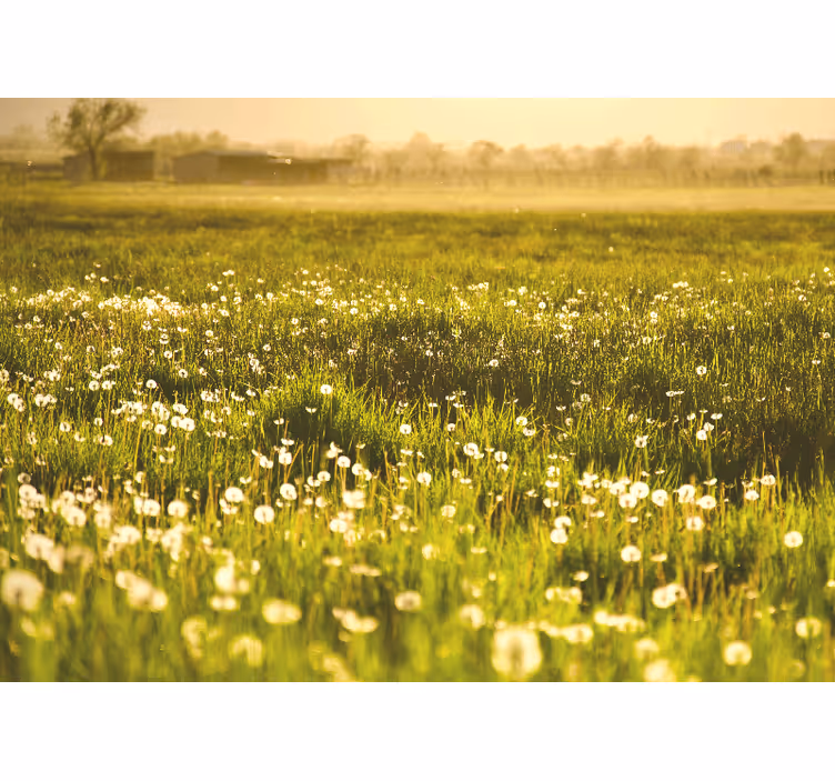 Papel mural flores paisaje de campo con diente de león - TenVinilo