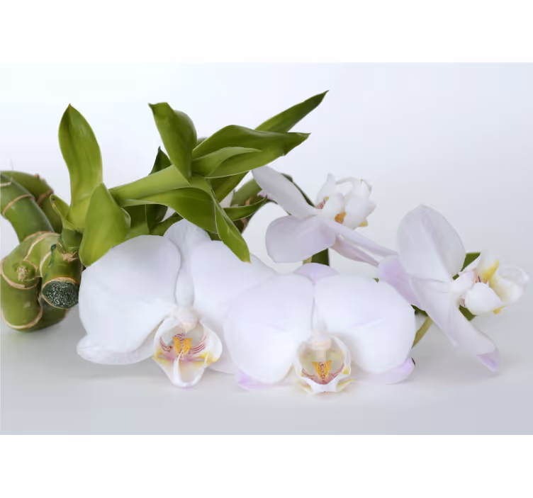 Papel mural orquídeas arreglo de orquídeas elegante - TenVinilo