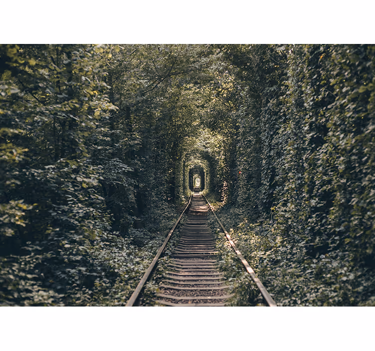 Papel mural paisajes túnel ferroviario naturaleza - TenVinilo
