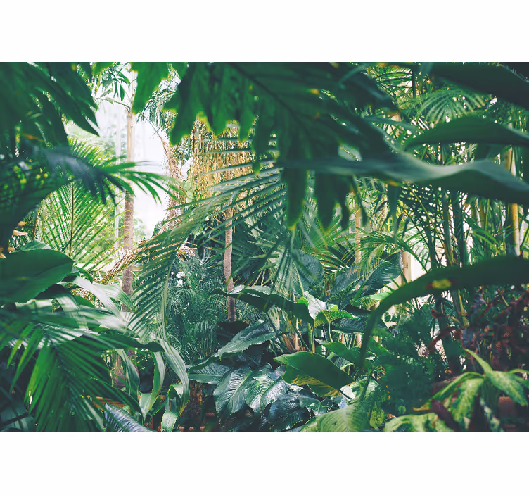 Papel mural selva oasis tropical exuberante - TenVinilo