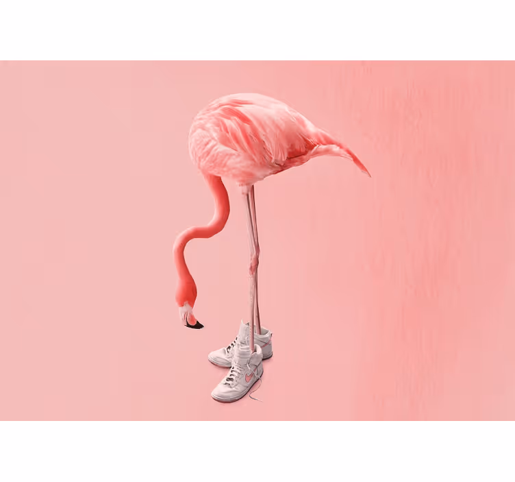 Papel mural animales flamenco con zapatillas - TenVinilo