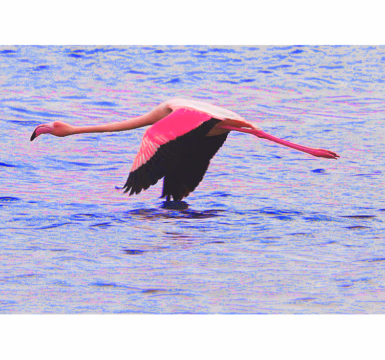 Papel mural animales flamenco en vuelo - TenVinilo
