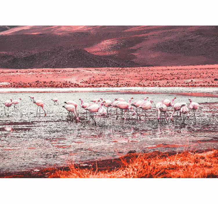 Papel mural animales escena de hábitat de flamencos - TenVinilo