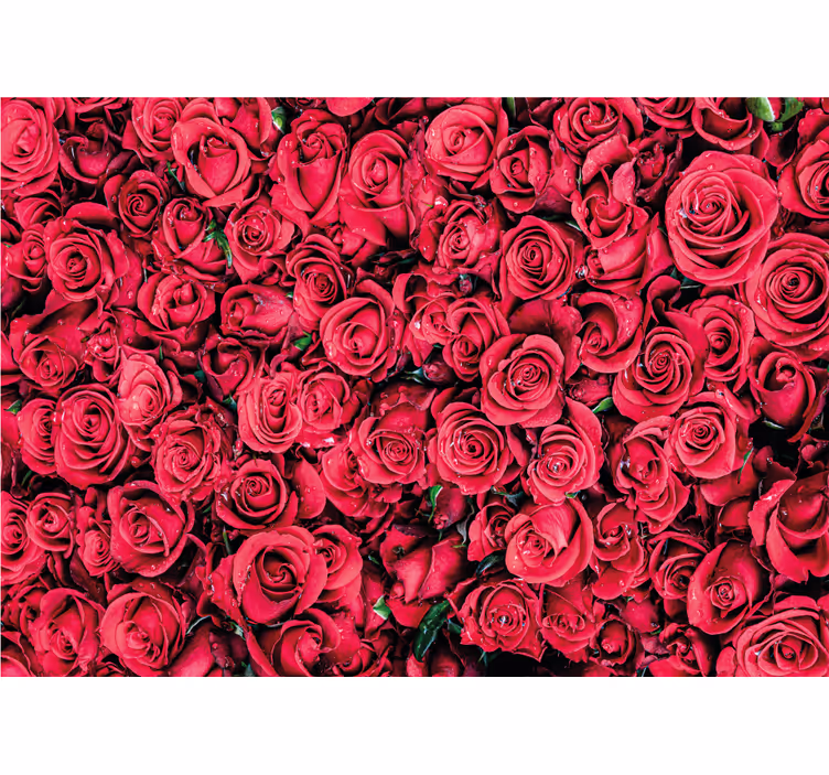 Papel mural rosas flores de rosa vibrantes - TenVinilo