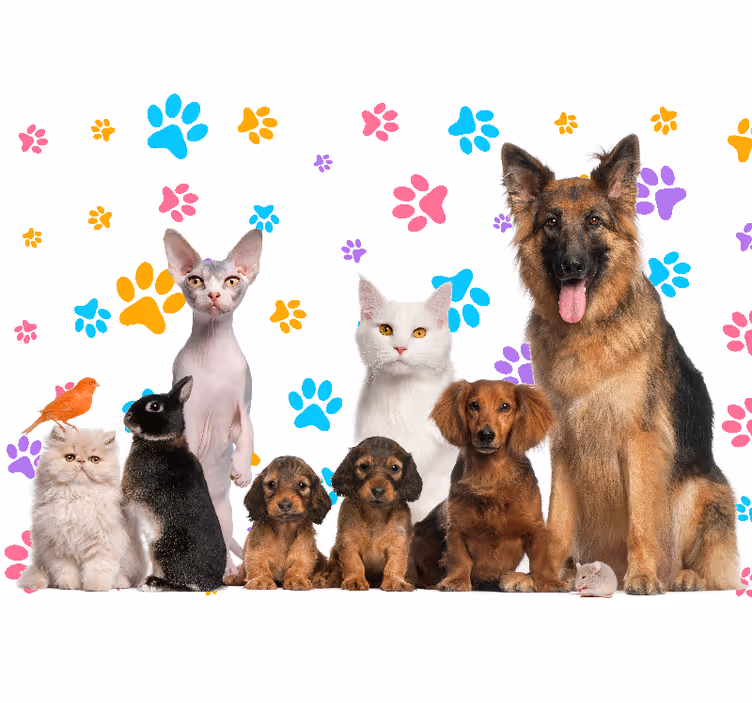 Fotomural animale Perros y gatos - TenVinilo