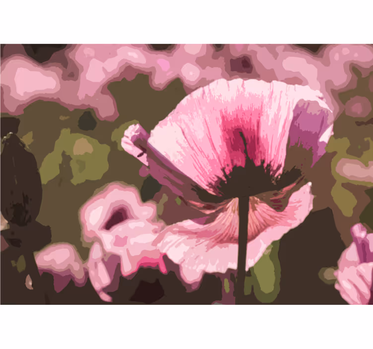 Papel mural de amapolas flor de amapola rosa - TenVinilo