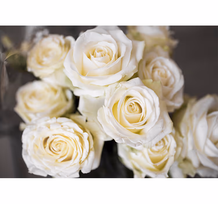 Papel mural flores rosas blancas elegantes - TenVinilo
