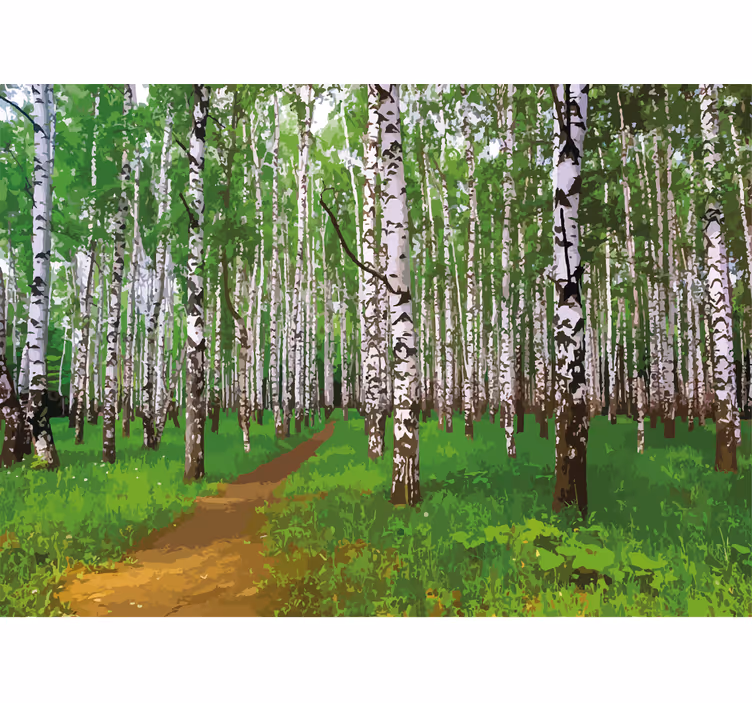 Papel mural naturaleza sendero del bosque de abedules - TenVinilo