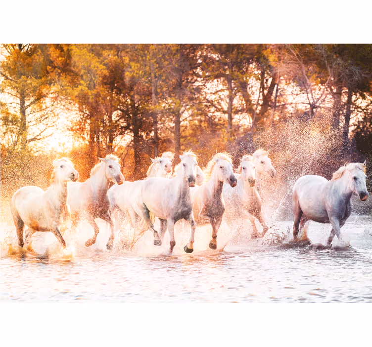 Mural de animales caballos majestuosos corriendo - TenVinilo