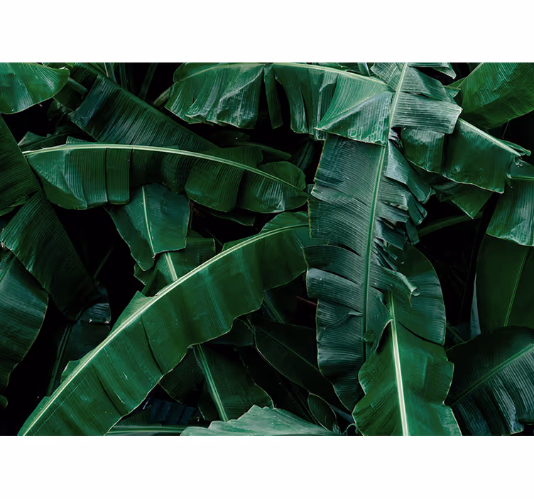 Papel mural naturaleza follaje verde vibrante - TenVinilo
