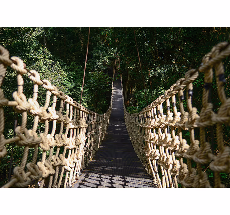 Papel mural naturaleza sendero suspendido en el bosque - TenVinilo