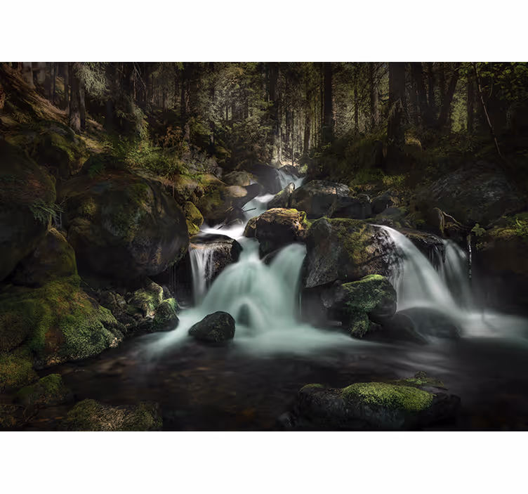 Fotomural cascada arroyo del bosque tranquilo - TenVinilo