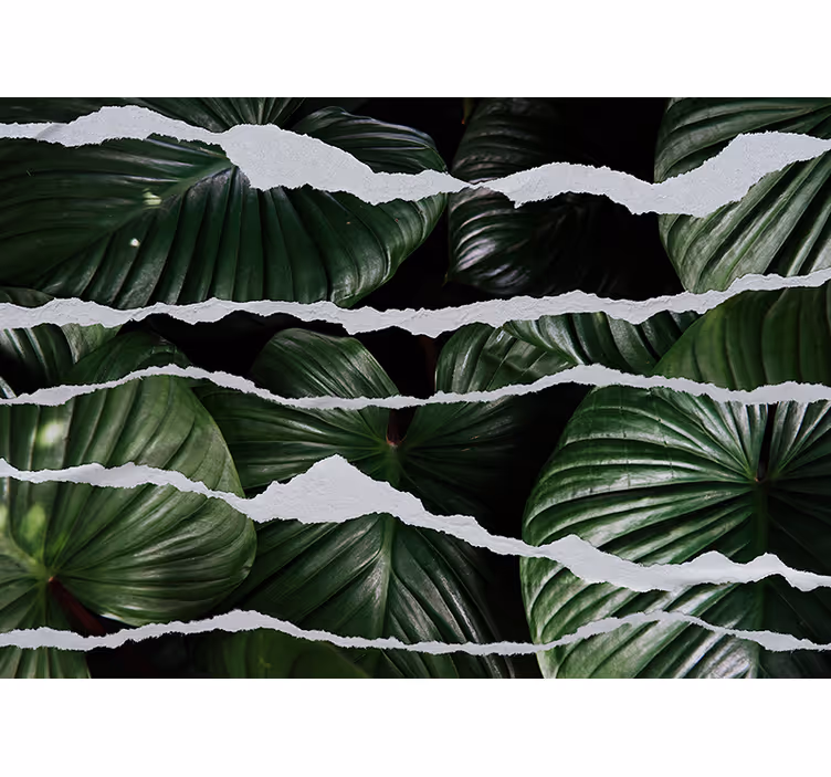 Papel mural naturaleza diseño de hojas lujosas - TenVinilo