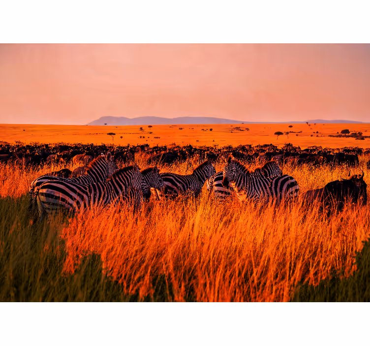 Papel mural naturaleza cebras en el serengeti - TenVinilo