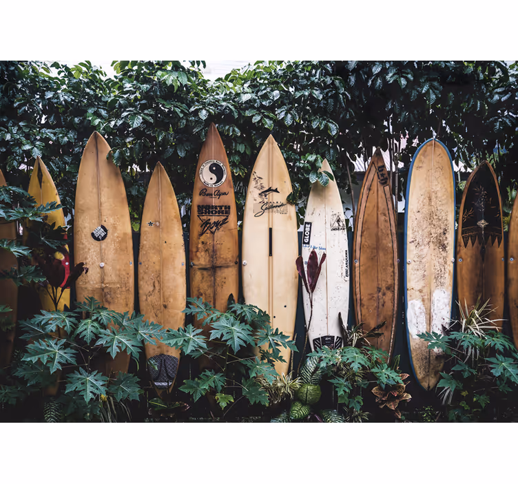 Papel mural vehículos tablas de surf en exhibición - TenVinilo