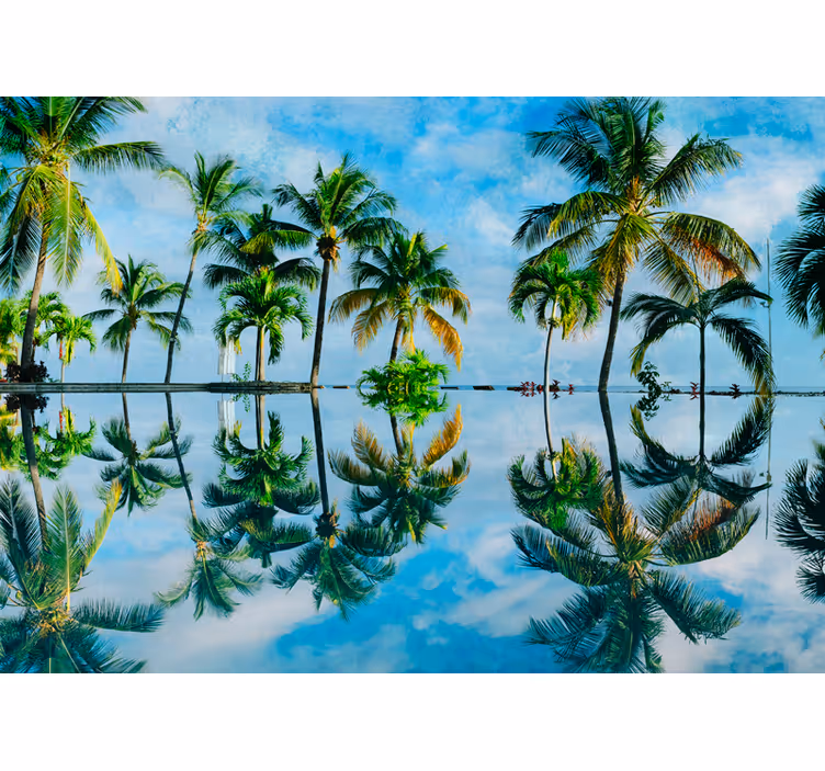 Papel mural naturaleza reflejos de palmas lujosas - TenVinilo
