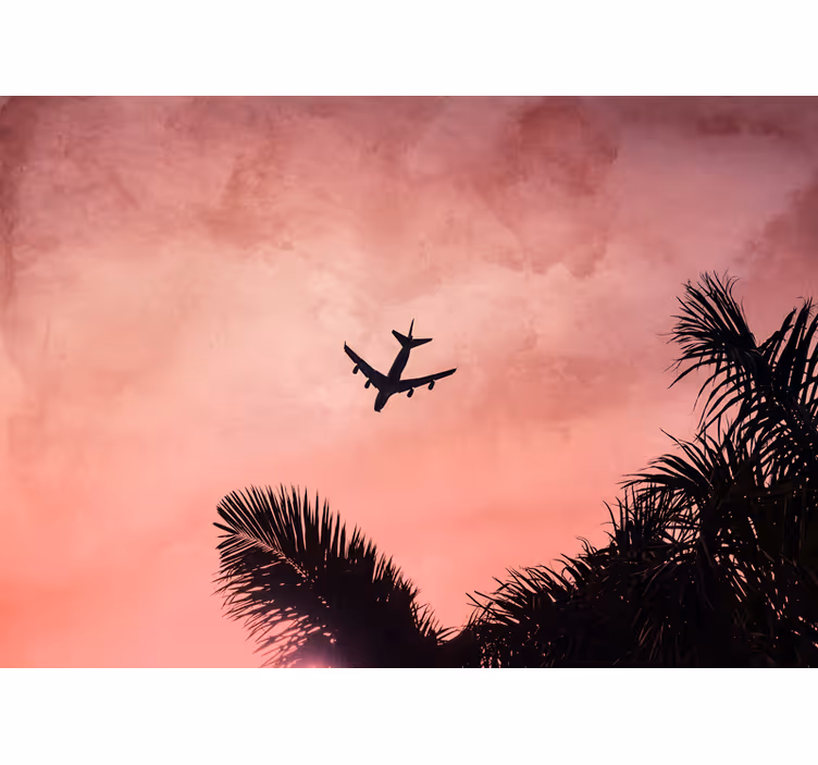 Papel mural vehículos silueta de avión al atardecer - TenVinilo