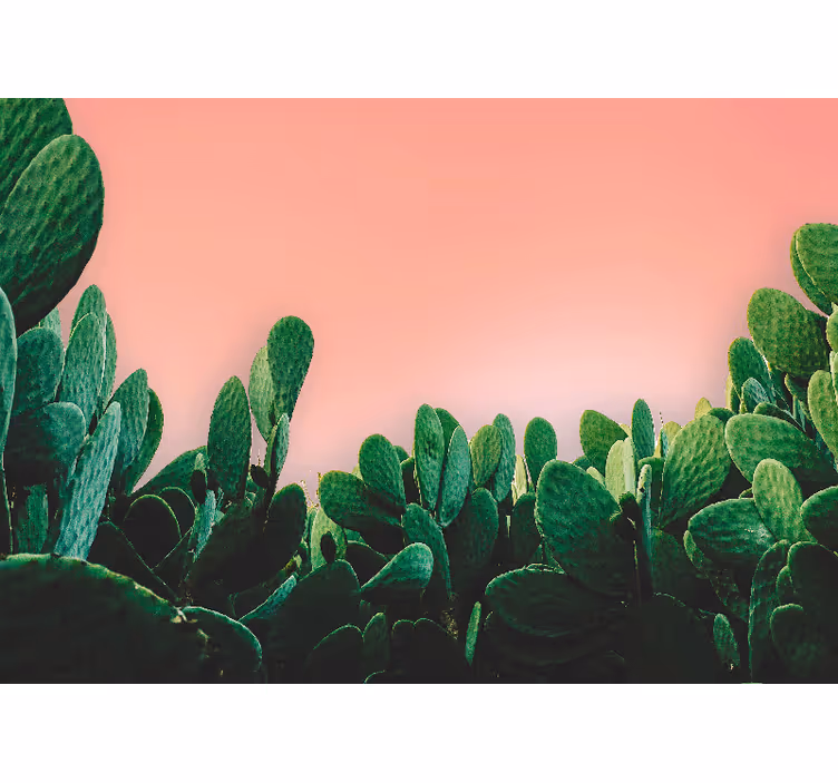Papel mural naturaleza paisaje de cactus - TenVinilo