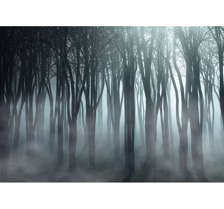 Papel mural bosque silueta de arboles brumosos - TenVinilo