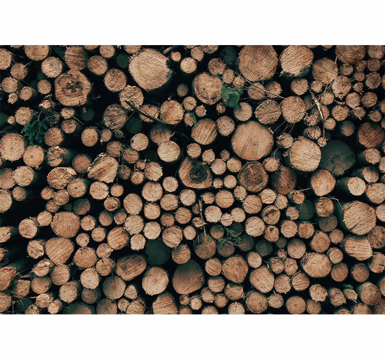 Papel mural piedra troncos de madera - TenVinilo