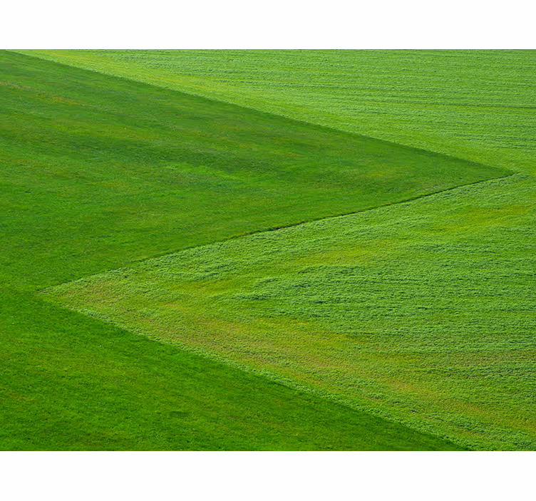 Papel mural naturaleza campos verdes puros - TenVinilo