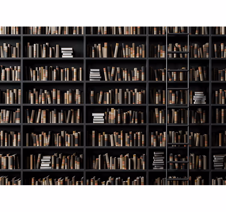Papel mural piedra asortimento de libros biblioteca - TenVinilo