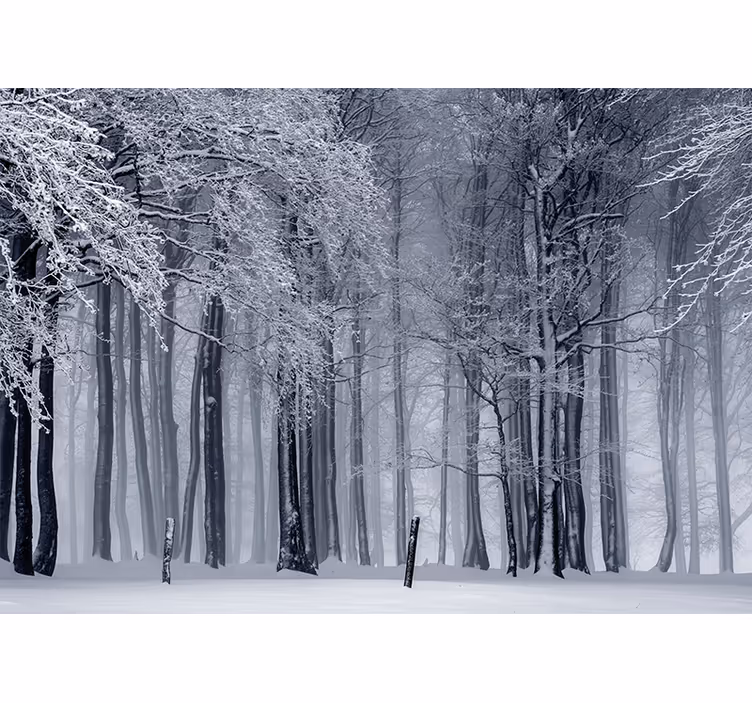 Papel mural bosque paisaje de arboles nevados - TenVinilo