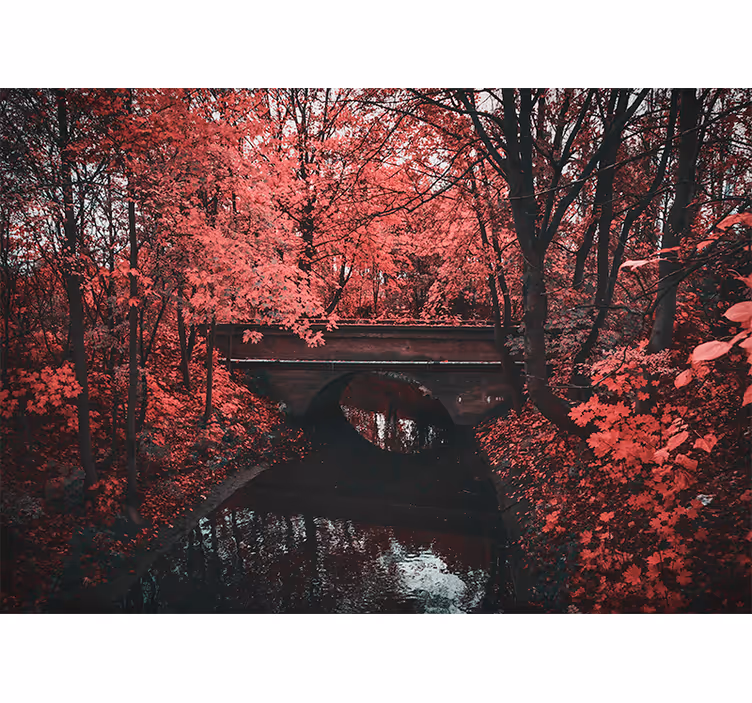 Papel mural naturaleza bosque de hojas rojas - TenVinilo