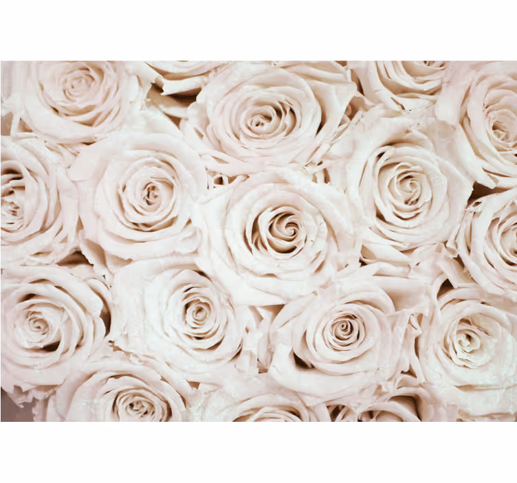 Papel mural flores arreglo de rosas suaves - TenVinilo