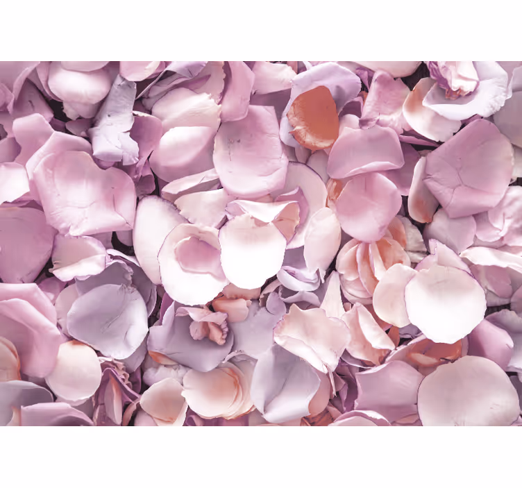 Papel mural flores primer plano de pétalos de rosa - TenVinilo