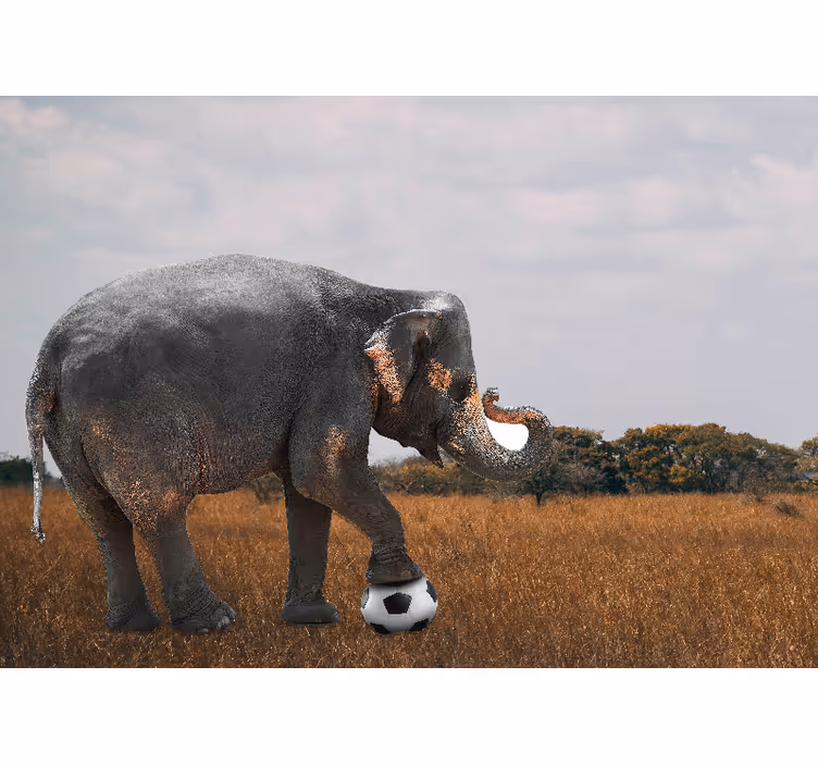 Papel mural animales elefante jugando al fútbol - TenVinilo