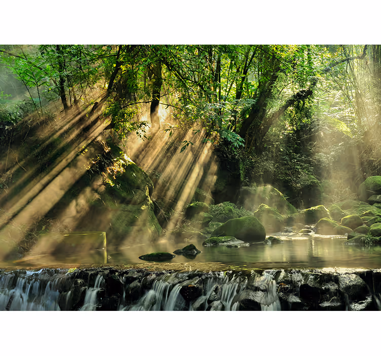 Papel mural naturaleza arroyo forestal iluminado por el sol - TenVinilo