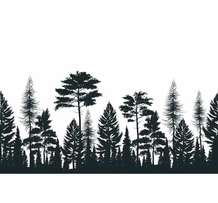 Fotomural de bosque Silueta de pinos - TenVinilo