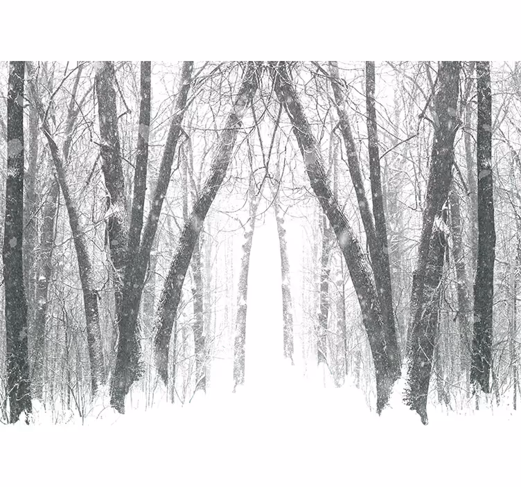 Papel mural bosque camino forestal nevado - TenVinilo