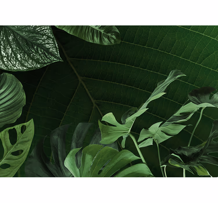 Papel mural naturaleza follaje verde exuberante - TenVinilo