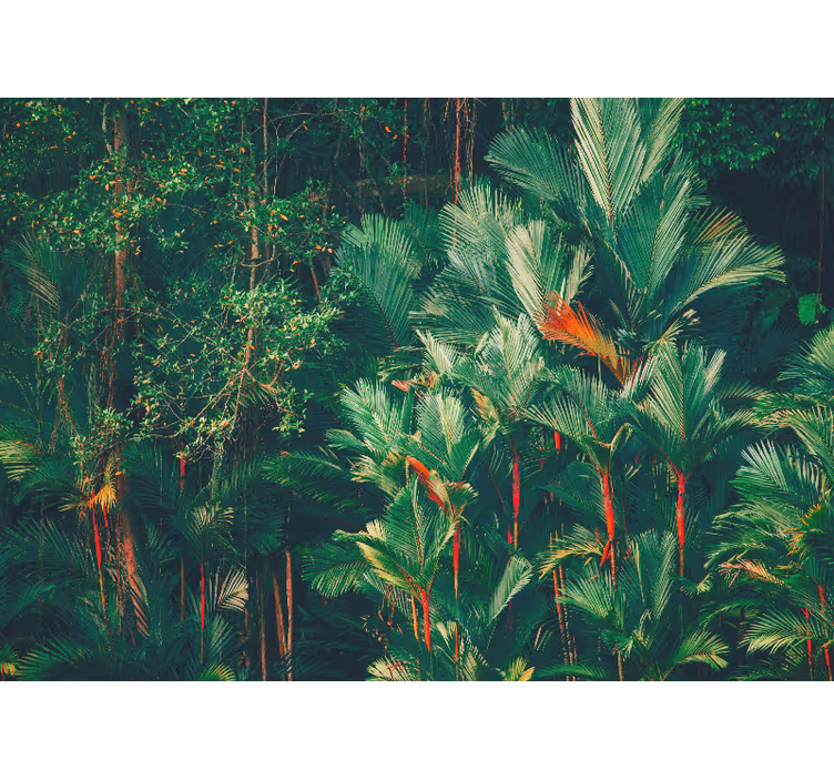 Papel mural selva colección palmas tropicales - TenVinilo