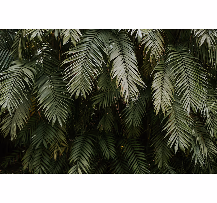 Papel mural naturaleza follaje tropical - TenVinilo