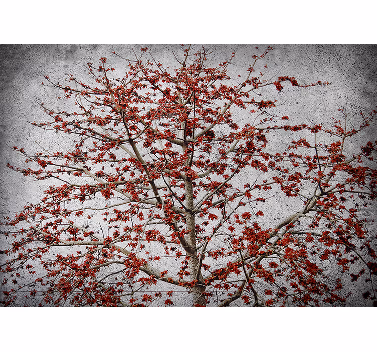 Papel mural flores Árbol de flores rojas - TenVinilo