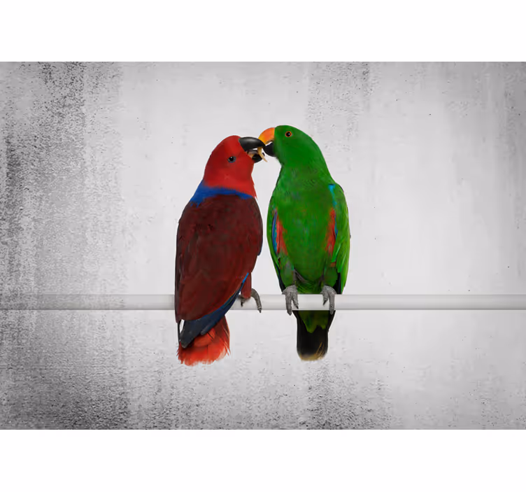 Papel mural animales interacción de loros coloridos - TenVinilo