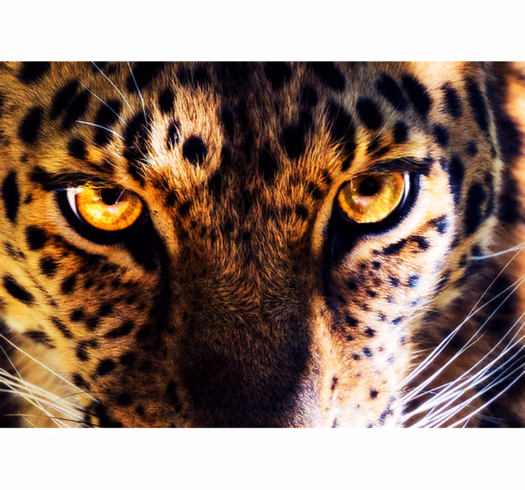 Papel mural leones mirada de leopardo regal - TenVinilo