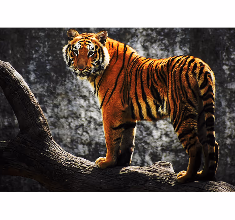Fotomural animale Tigre con cascada detrás - TenVinilo