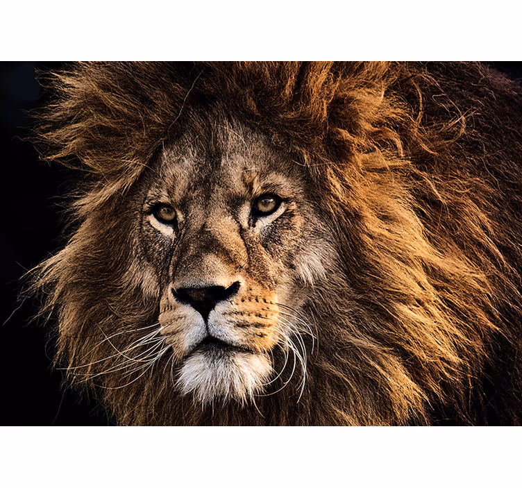 Mural leones Enorme cara de león realista - TenVinilo