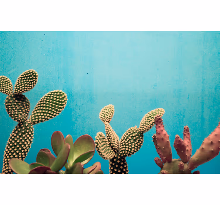 Fotomural flores plantas cactus fondo azul - TenVinilo