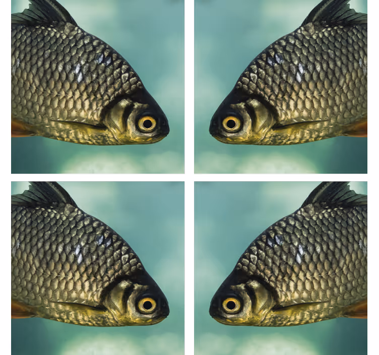 Posavasos frikis con imágenes realistas de peces - TenVinilo