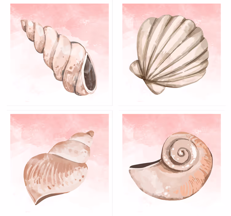 Posavasos moderno conchas marinas con toque rosa - TenVinilo