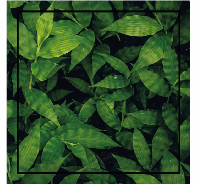 Posavasos patrón de hojas verdes lujosas - TenVinilo