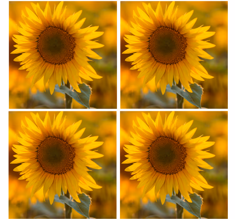 Posavasos moderno arreglo de girasoles vibrantes - TenVinilo